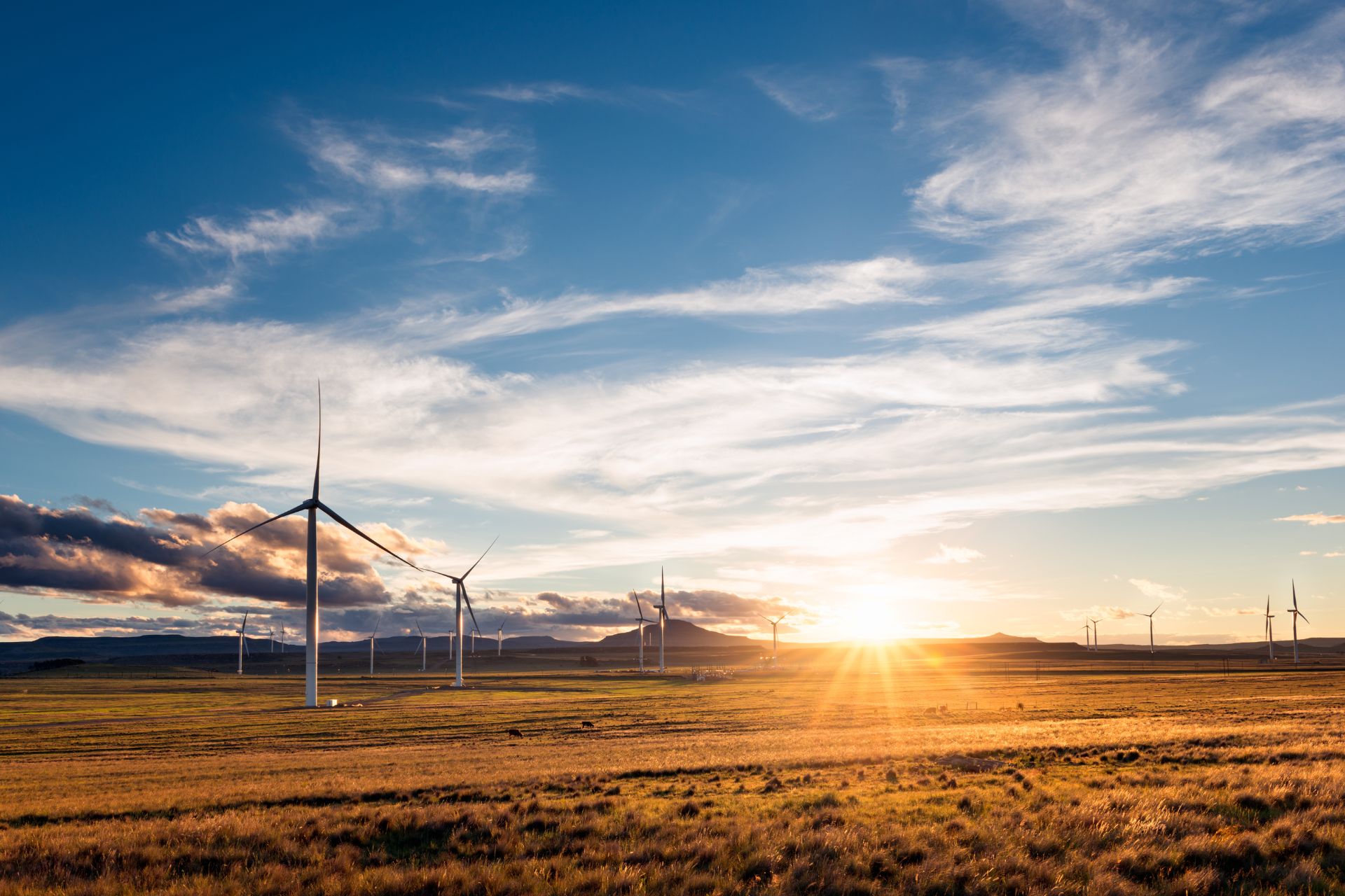 Energia green con eolico